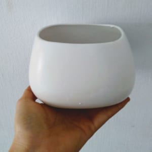 chậu cây cảnh