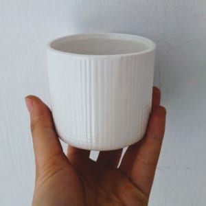 chậu cây cảnh