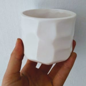 chậu cây cảnh