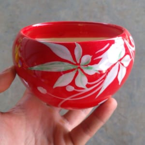 chậu cây cảnh