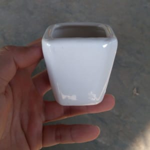 chậu cây cảnh