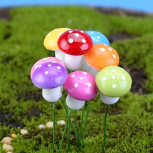 phụ kiện làm terrarium