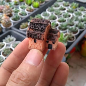 phụ kiện terrarium
