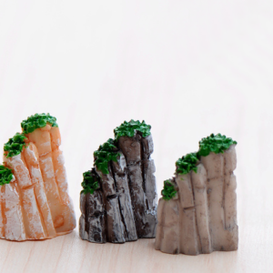 phụ kiện terrarium