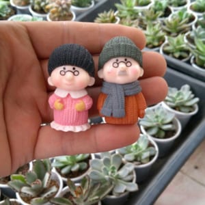 phụ kiện làm terrarium