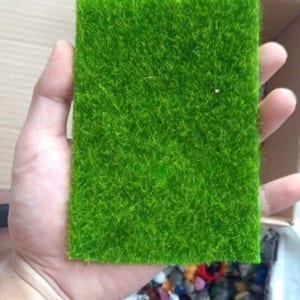 phụ kiện làm terrarium