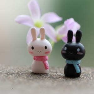 phụ kiện làm terrarium