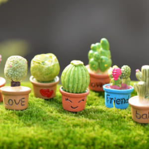 terrarium