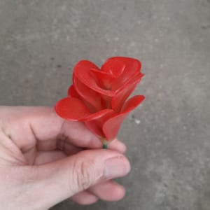 Sen đá giva đỏ nhựa (giá sỉ)