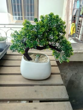 Bonsai giả