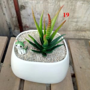 cây giả