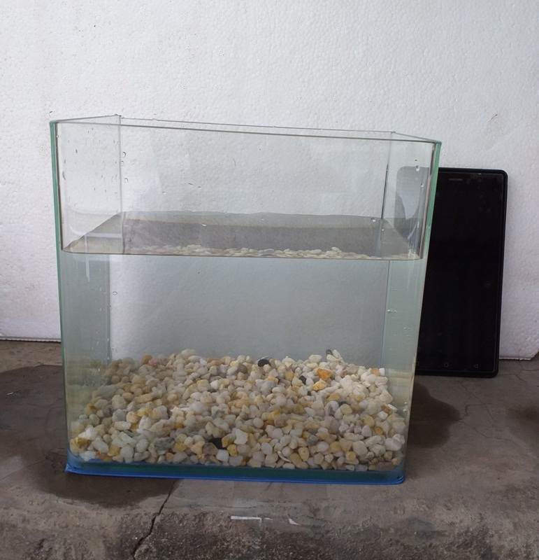 Sỏi dăm trang trí bể cá 500g - Bể cá mini giá rẻ tại Yeucay.vn