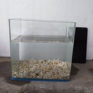 Sỏi dăm trang trí bể cá 500g