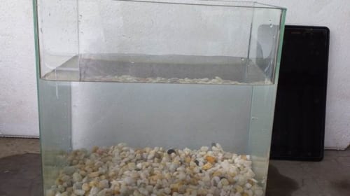 Sỏi dăm trang trí bể cá 500g
