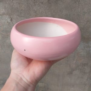 chậu trồng cay cảnh