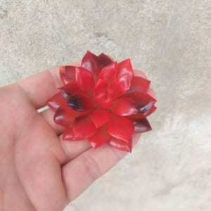 Cây hoa nhựa