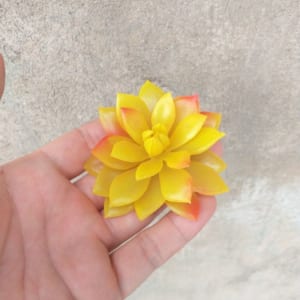 Cây hoa nhựa
