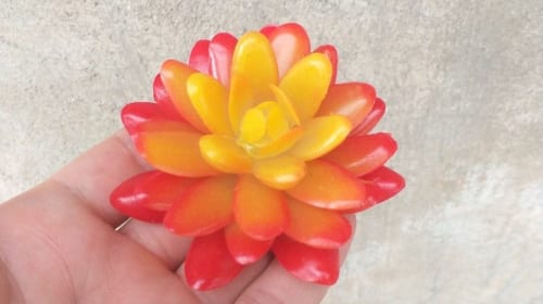 Cây hoa nhựa