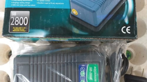 Máy sục khí bể cá