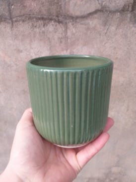 chậu trồng cay cảnh