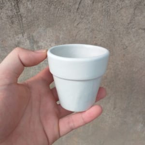 chậu trồng cay cảnh