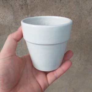 Chậu trồng sen đá, xương rồng