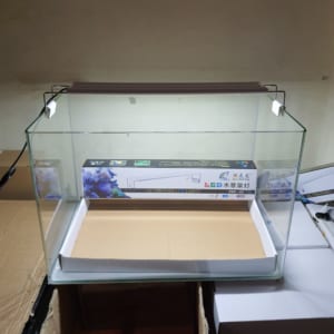 Đèn led thủy sinh XML 40, dành cho bể dài 40 - 45 cm