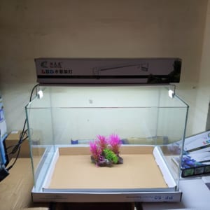 Đèn led thủy sinh XML 50, dành cho bể dài 50 - 55 cm