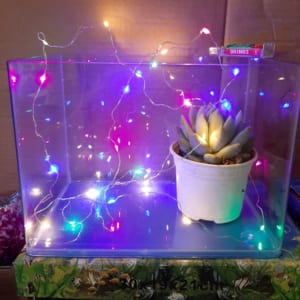 Đèn led trang trí
