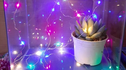 Đèn led trang trí