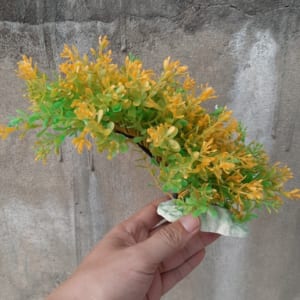 Cây nhựa bể cá