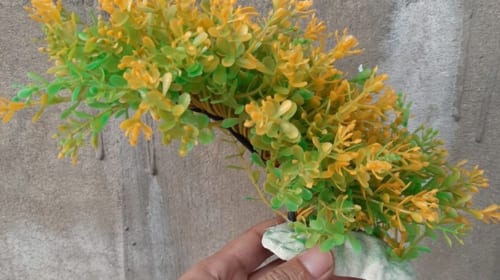 Cây nhựa bể cá