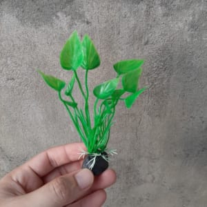 Cây nhựa bể cá