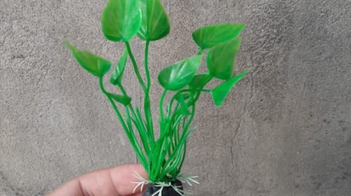 Cây nhựa bể cá