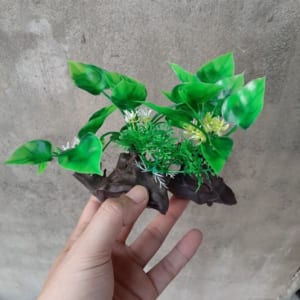 Cây nhựa bể cá