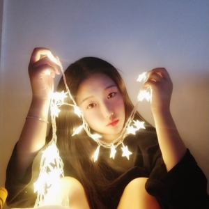 Đèn led trang trí
