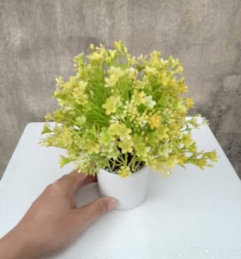 Cây hoa nhựa