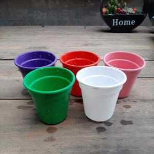 Chậu nhựa trồng cây