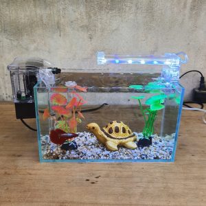 Bể cá mini 24 cm với 5 món (bể 24, sỏi nền, máy lọc, 2 cây nhựa mini, pk nhỏ, đèn led D10)