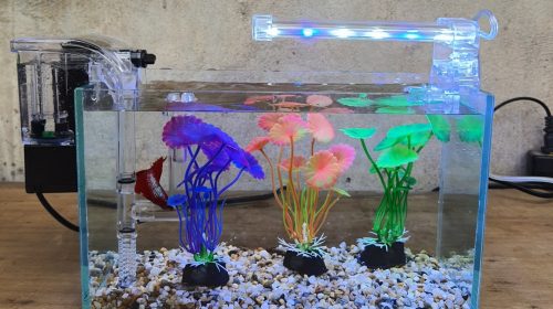 Bể cá mini 24 cm với 4 món (bể 24, sỏi nền, máy lọc, 3 cây nhựa mini, đèn led D10)
