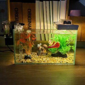 Bể cá mini 24 cm với 7 món (bể 24, sỏi nền, máy lọc, cây nhựa vừa, cây nhựa mini, đèn led xốp, pk cặp đôi)