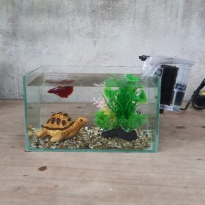 Bể cá mini 24 cm với 5 món (bể 24, sỏi nền, máy lọc, cây nhựa vừa, pk nhỏ)