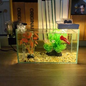 Bể cá mini 24 cm với 6 món (bể 24, sỏi nền, máy lọc, cây nhựa vừa, cây nhựa mini, đèn led xốp)