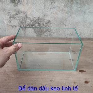 Bể cá mini 24*12*14 cm