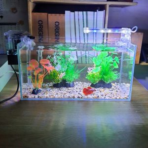 Bể cá 33 cm với 7 món (bể 33cm, sỏi nền, máy lọc, 2 cây nhựa vừa, cây nhựa mini, đèn led D10)