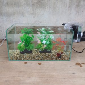 Bể cá 33 cm với 6 món (bể 33cm, sỏi nền, máy lọc, 2 cây nhựa vừa, cây nhựa mini)