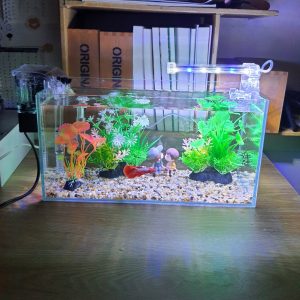Bể cá 33 cm với 8 món (bể 33cm, sỏi nền, máy lọc, 2 cây nhựa vừa, cây nhựa mini, pk cặp đôi ngồi ghế, đèn led D10)