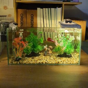 Bể cá 33 cm với 8 món (bể 33cm, sỏi nền, máy lọc, 2 cây nhựa vừa, cây nhựa mini, đèn led xốp, pk cặp đôi)