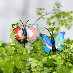 Phụ kiện bướm nhiều màu