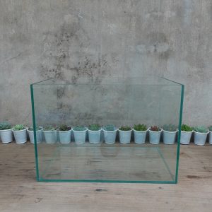 Bể cá cỡ 35x24x26 cm, dày 5mm, bể dán dấu keo, thành bể được mài vi tính rất an toàn